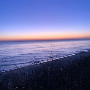 Meet your Posher, Margo